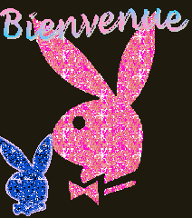 bienvenue de playboy