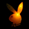 playboy
