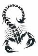 scorpion